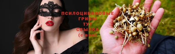 индика Алзамай