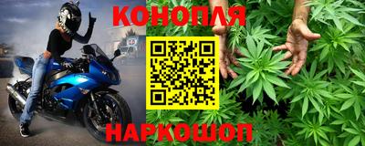 гашик Кимры